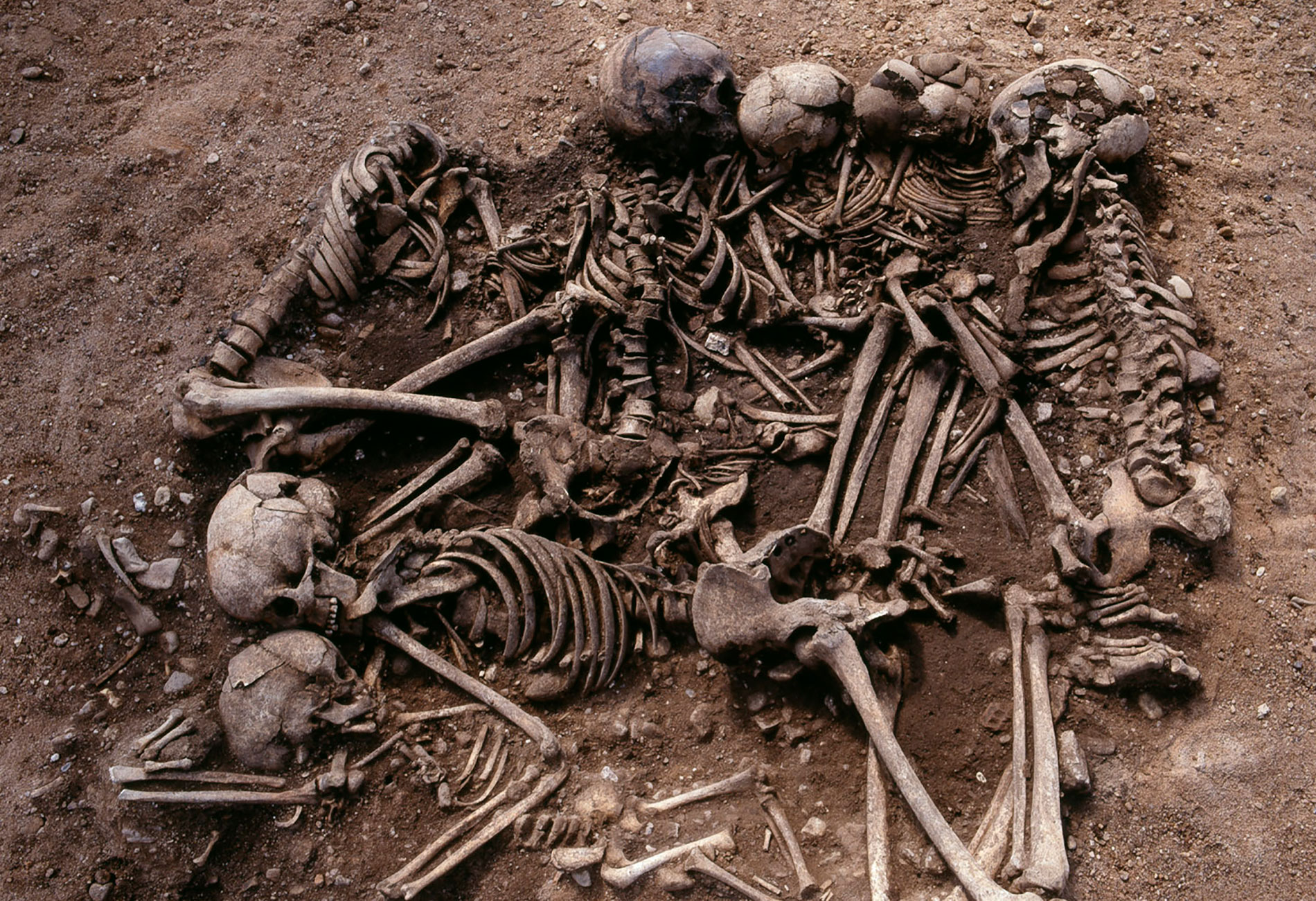 05-multiple burial Salzmuende