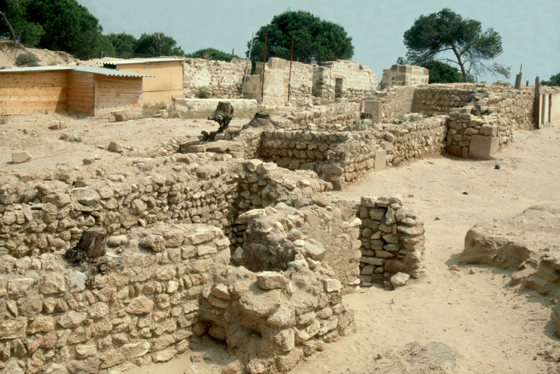 Almazán - Necrópolis bajo la muralla